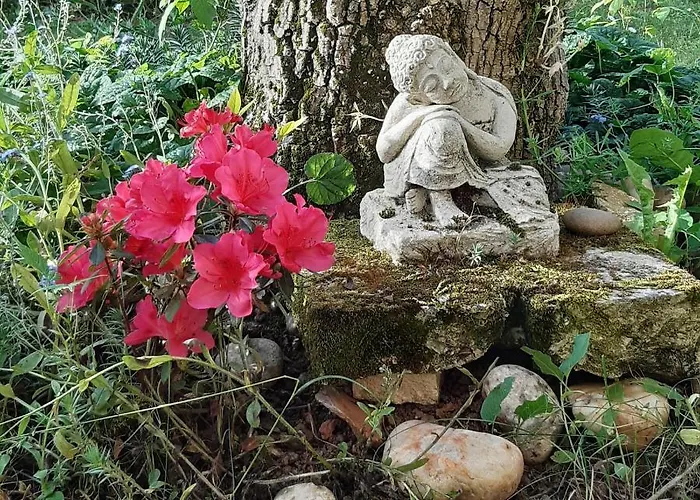 Pensjonat Le Clos De La Salamandre 3*