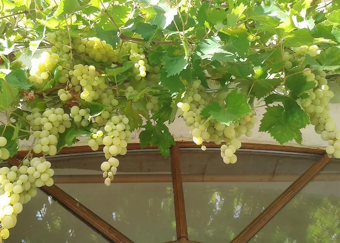 Le Clos De La Salamandre Pensjonat 3*