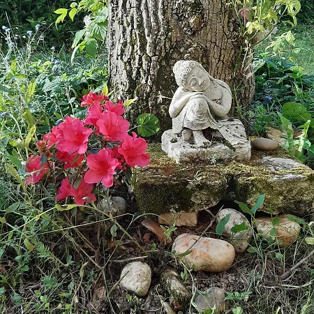 Guest house Le Clos De La Salamandre 3*