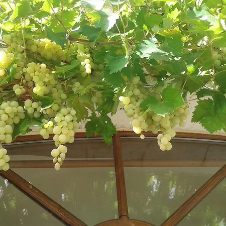 Le Clos De La Salamandre Penzion 3*